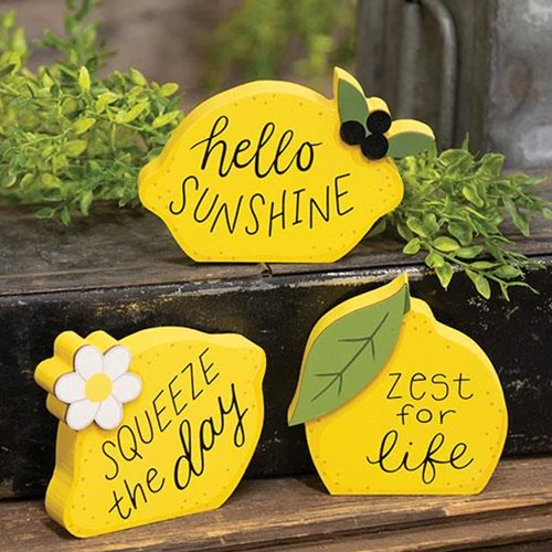 Set of 3 Lemon Sayings Chunky Sitters - Image 2