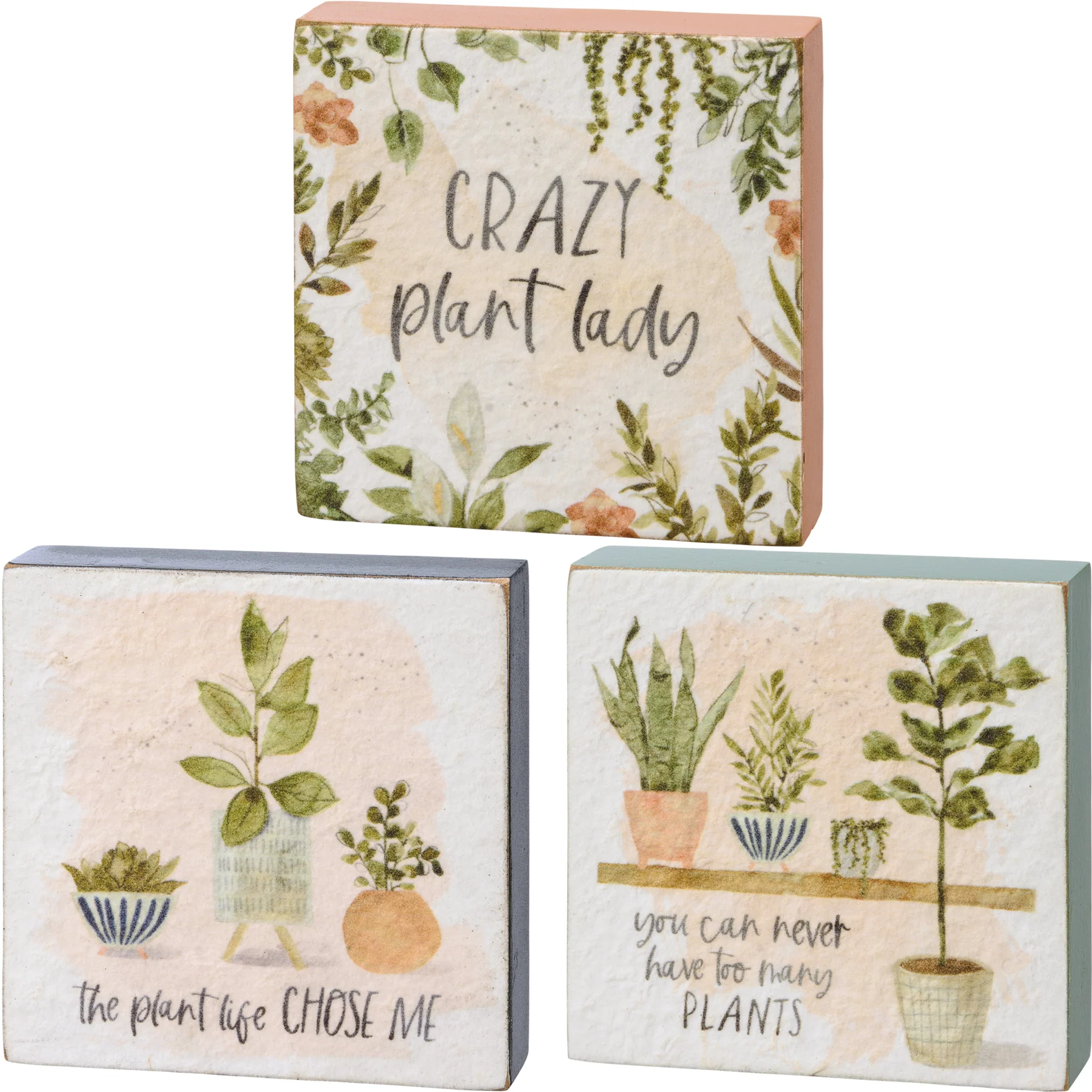 Surprise Me Sale π€ π Set of 3 Plant Life Block Sign Set