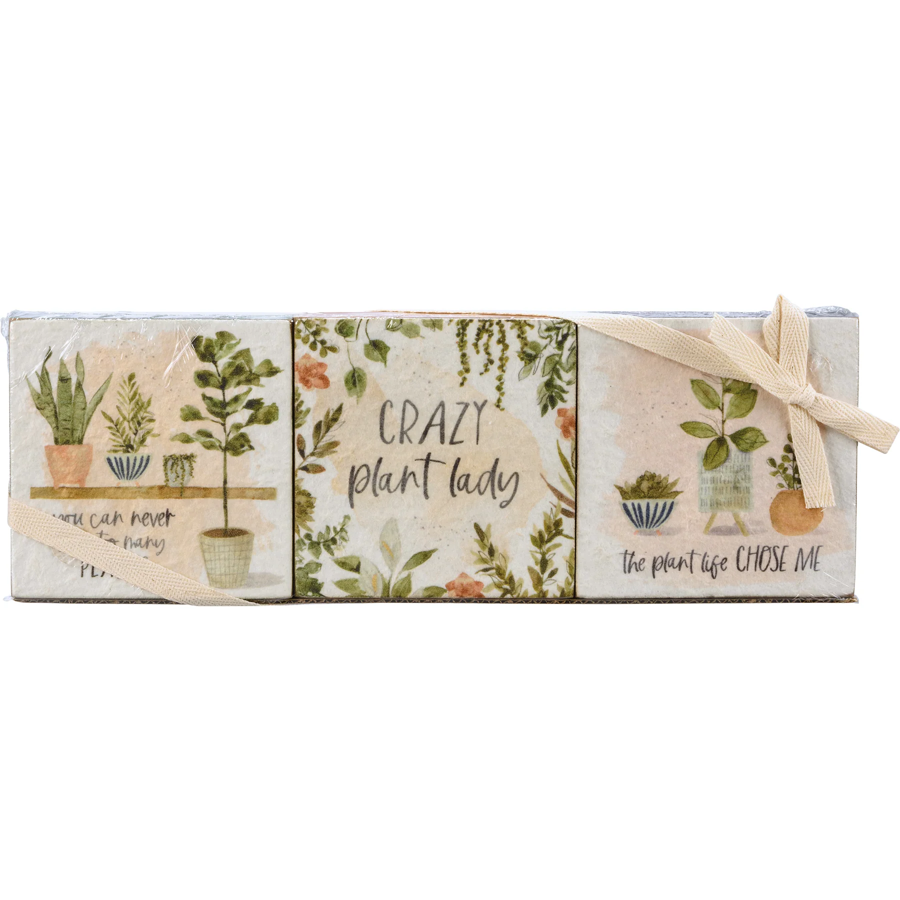 Surprise Me Sale π€ π Set of 3 Plant Life Block Sign Set - Image 2