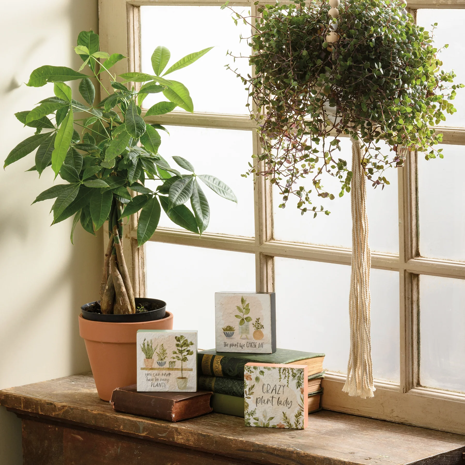 Surprise Me Sale π€ π Set of 3 Plant Life Block Sign Set - Image 3