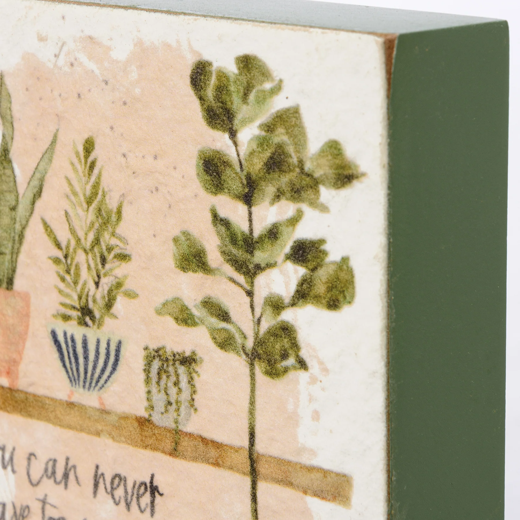 Surprise Me Sale π€ π Set of 3 Plant Life Block Sign Set - Image 5