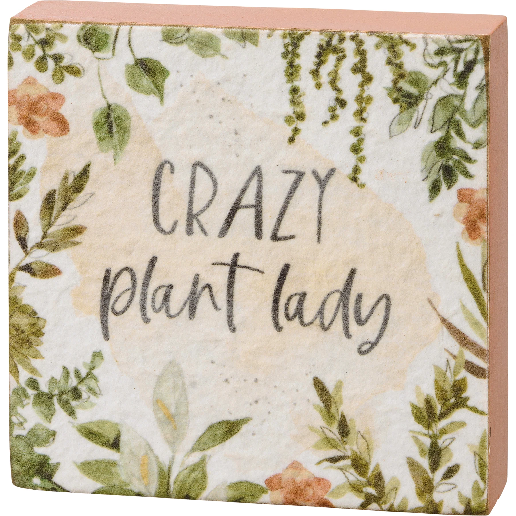Surprise Me Sale π€ π Set of 3 Plant Life Block Sign Set - Image 6