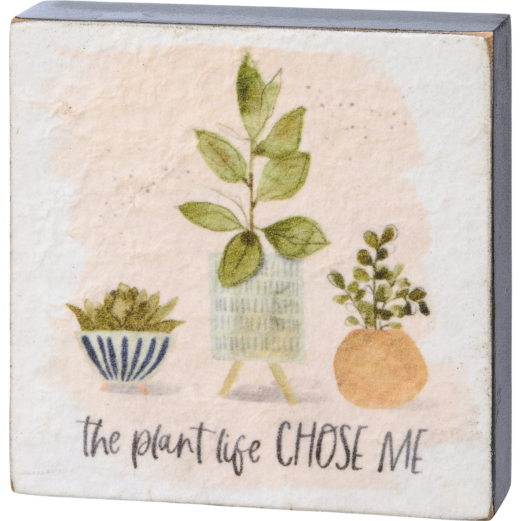 Surprise Me Sale π€ π Set of 3 Plant Life Block Sign Set - Image 7