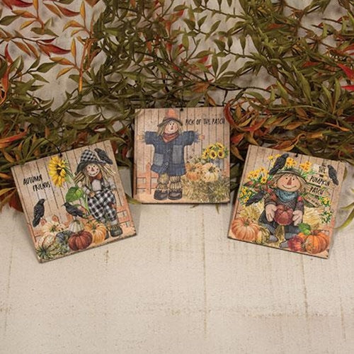 Set of 3 Scarecrow & Friends Square Ornaments - Image 5