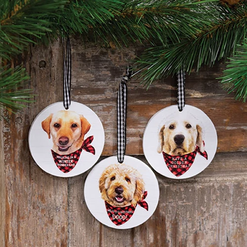 Set of 3 Winter Wonder-Lab Round Ornaments - Image 2