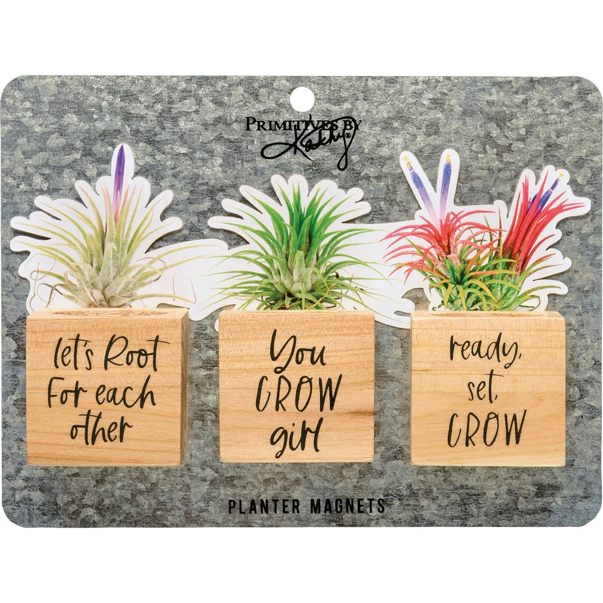 ๐ Set of 3 You Grow Girl Mini Wooden Air Plant Holder Magnets