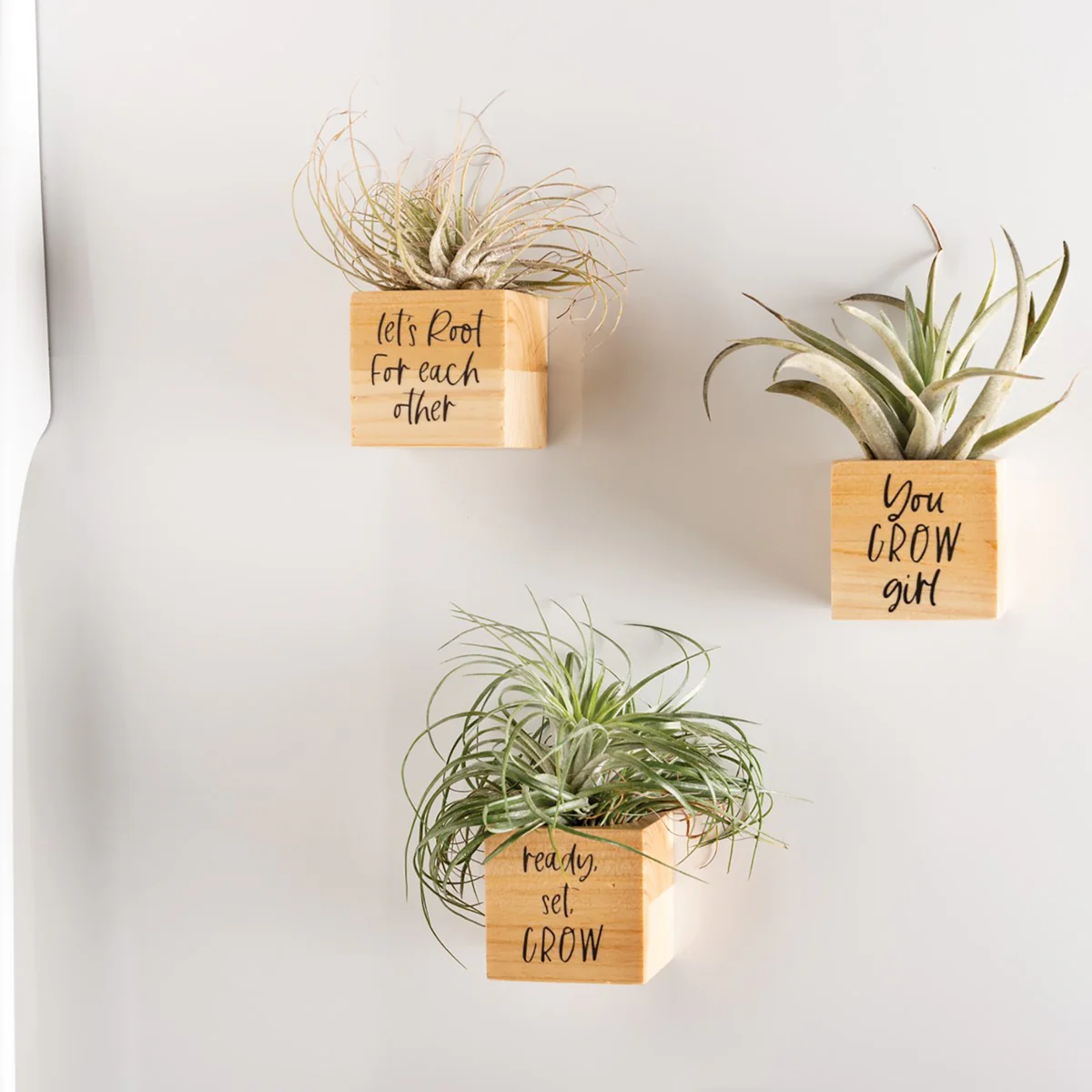 ๐ Set of 3 You Grow Girl Mini Wooden Air Plant Holder Magnets - Image 2