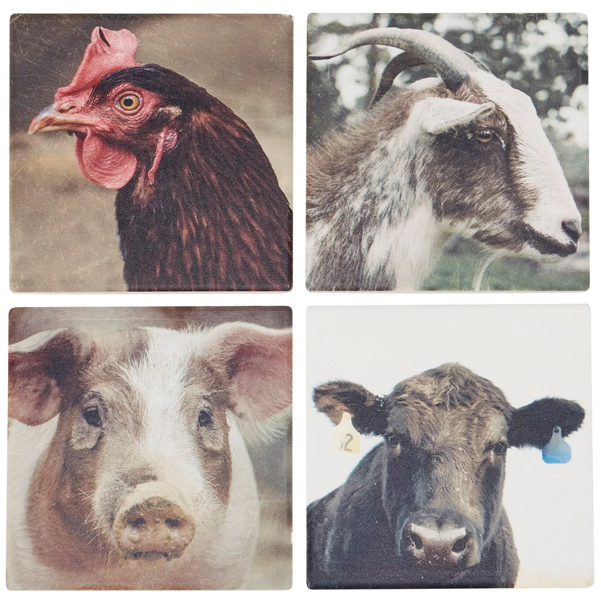 Surprise Me Sale 🤭 Set of 4 Farm Animals Coaster Set - Image 4