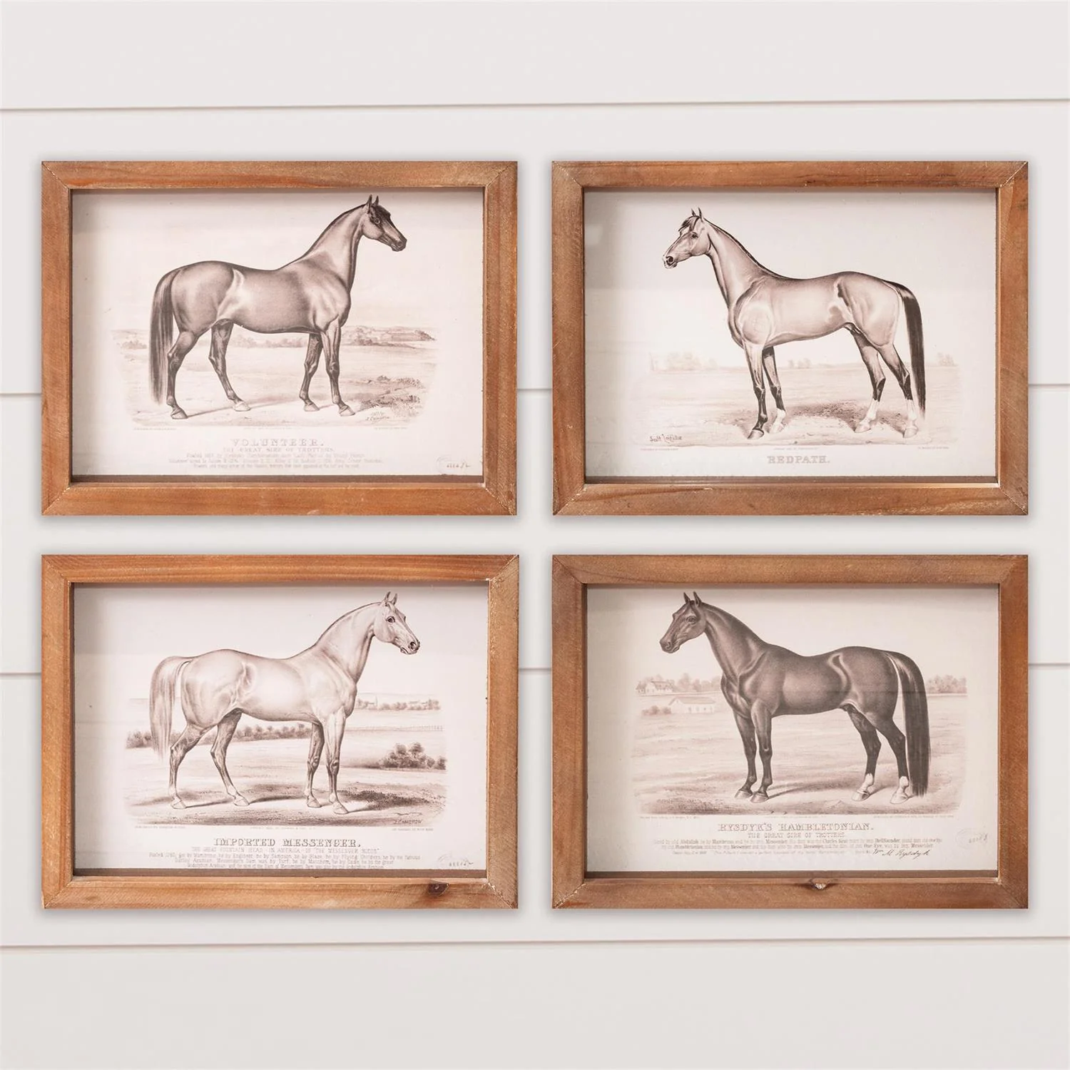 Set of 4 Horse Champions Small Framed Prints
