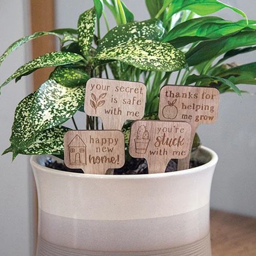 Set of 4 You're Stuck With Me House Plant Stakes - Image 2