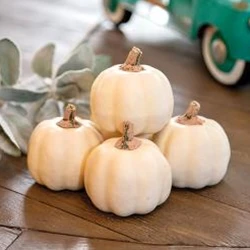 Set of 5 Mossy Stem Cream Decorative Pumpkins 3" H