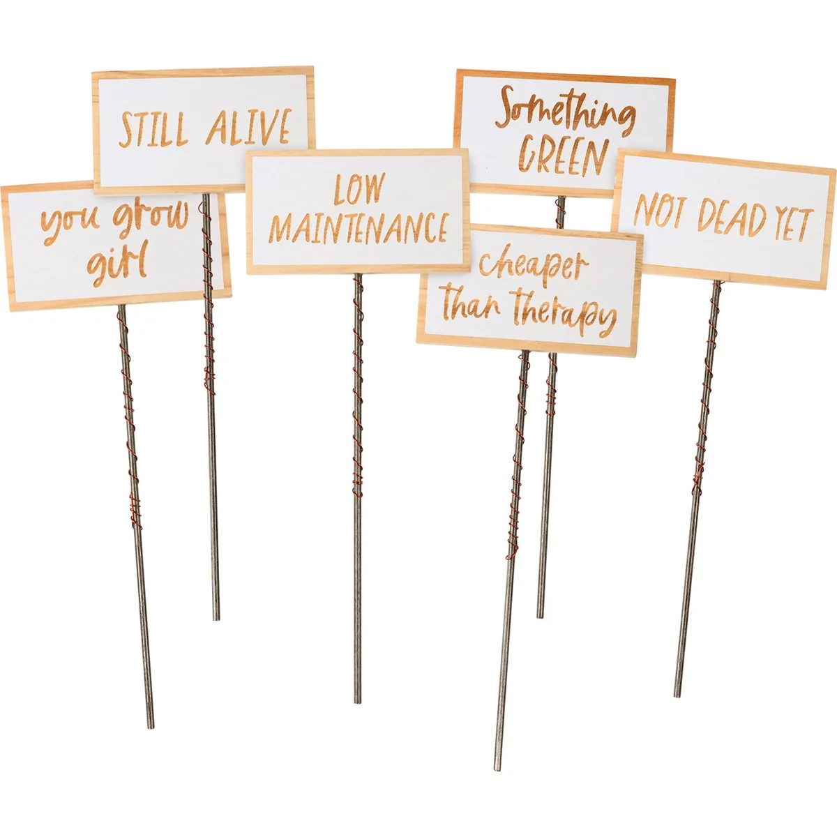 Surprise Me Sale 🤭 Set of 6 Fun Houseplant Picks