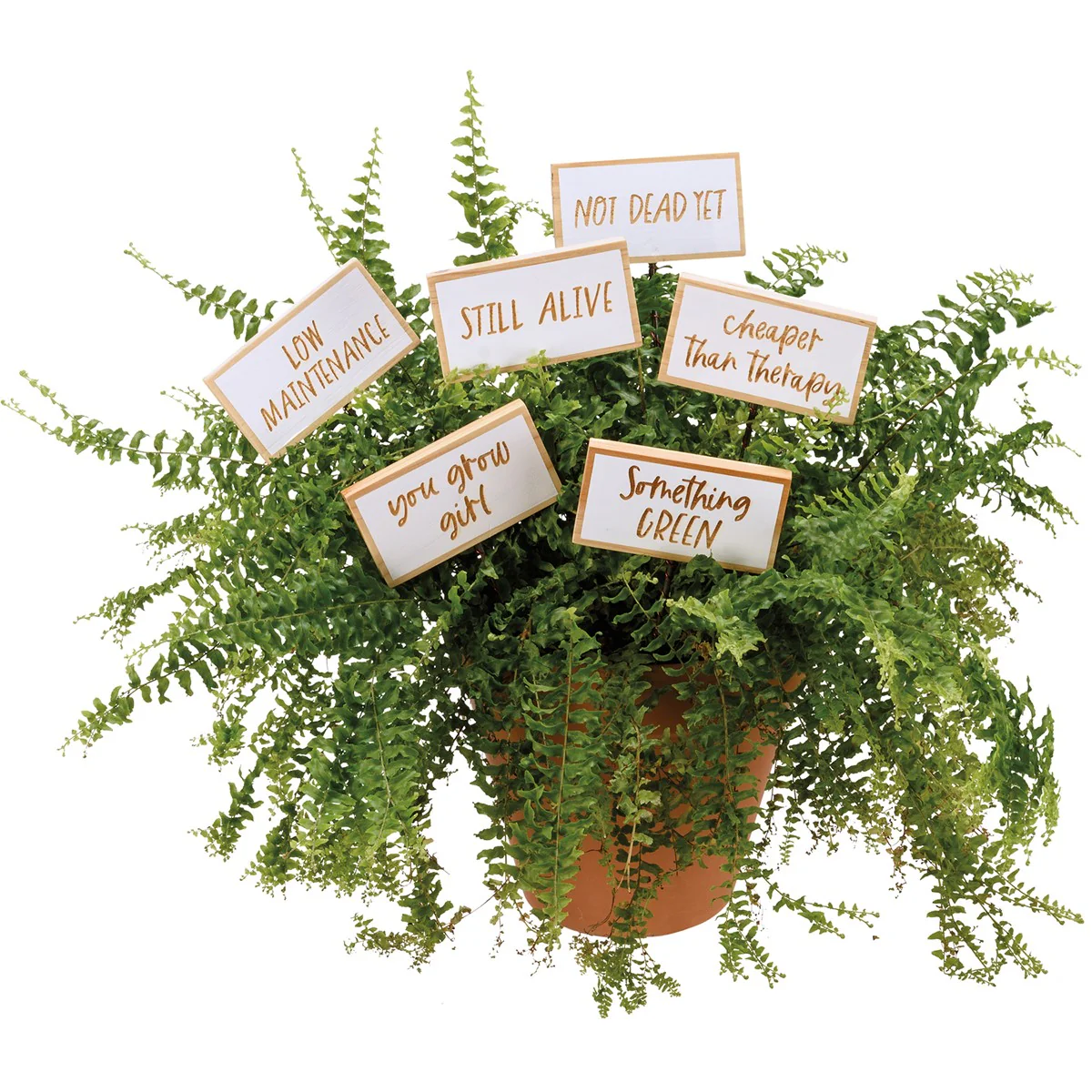 Surprise Me Sale 🤭 Set of 6 Fun Houseplant Picks - Image 2
