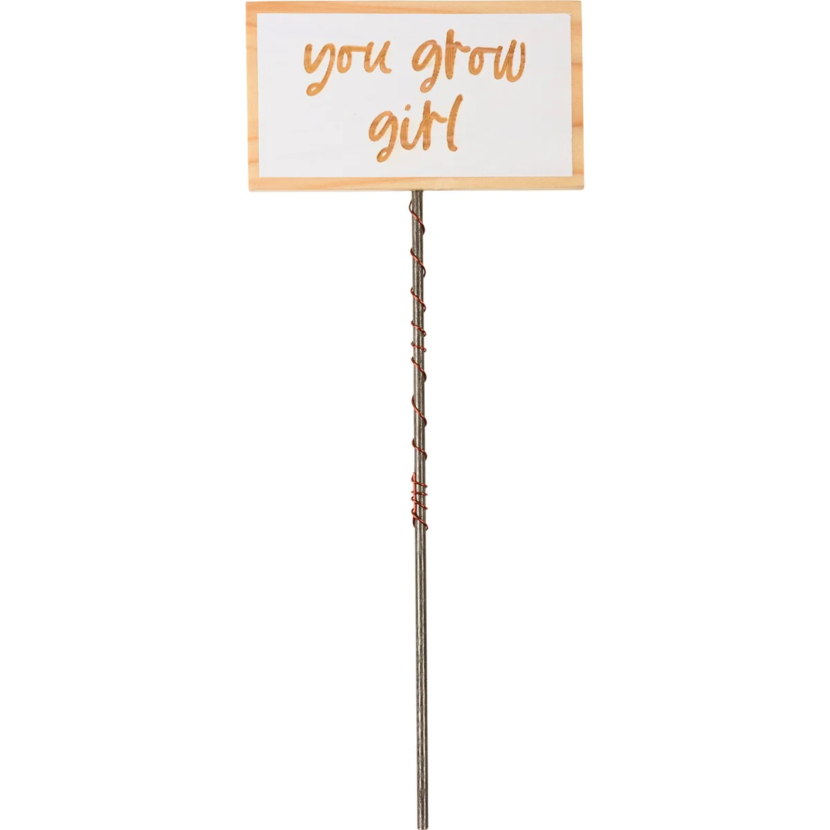 Surprise Me Sale 🤭 Set of 6 Fun Houseplant Picks - Image 9