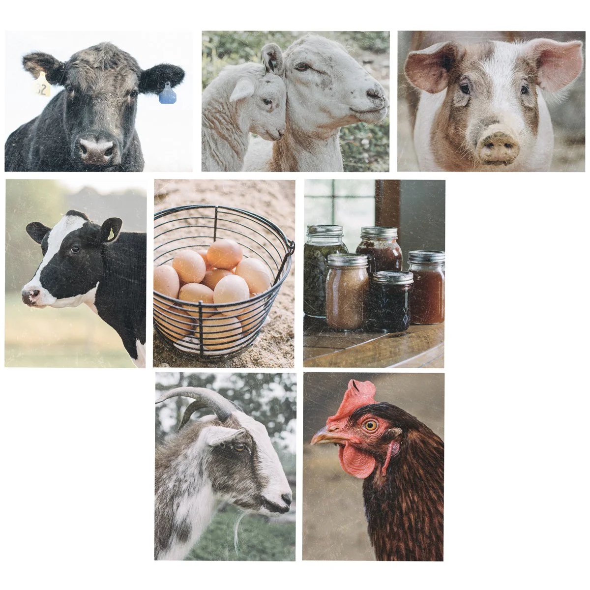 Surprise Me Sale 🤭 Set of 8 Farm Life Note Card Set