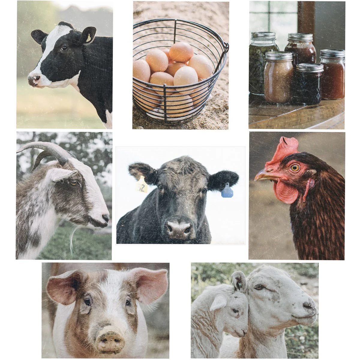 Surprise Me Sale 🤭 Set of 8 Farm Life Note Card Set - Image 2