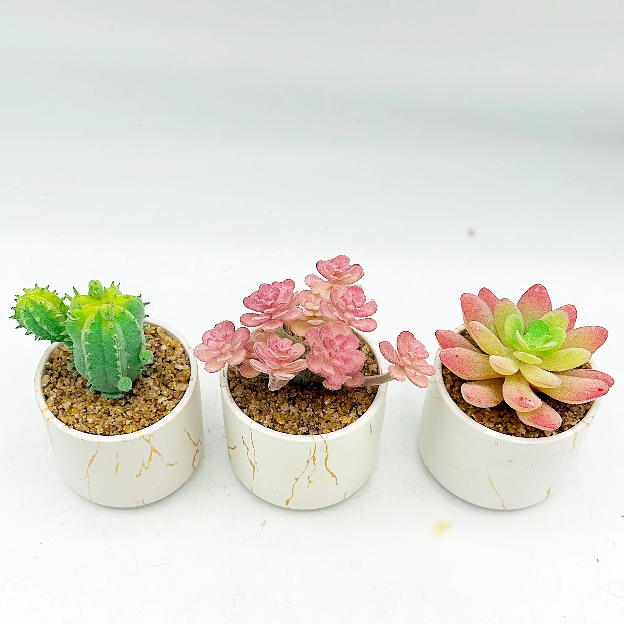 Set of Three Faux Succulents in Mini Pots - Image 5