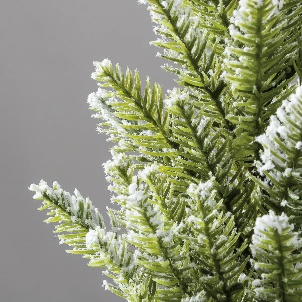 Snowy Evergreen Tree in Burlap Base 18" H - Image 3