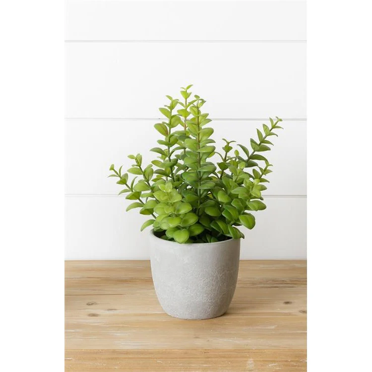 Succulent 12" Faux Potted Plant