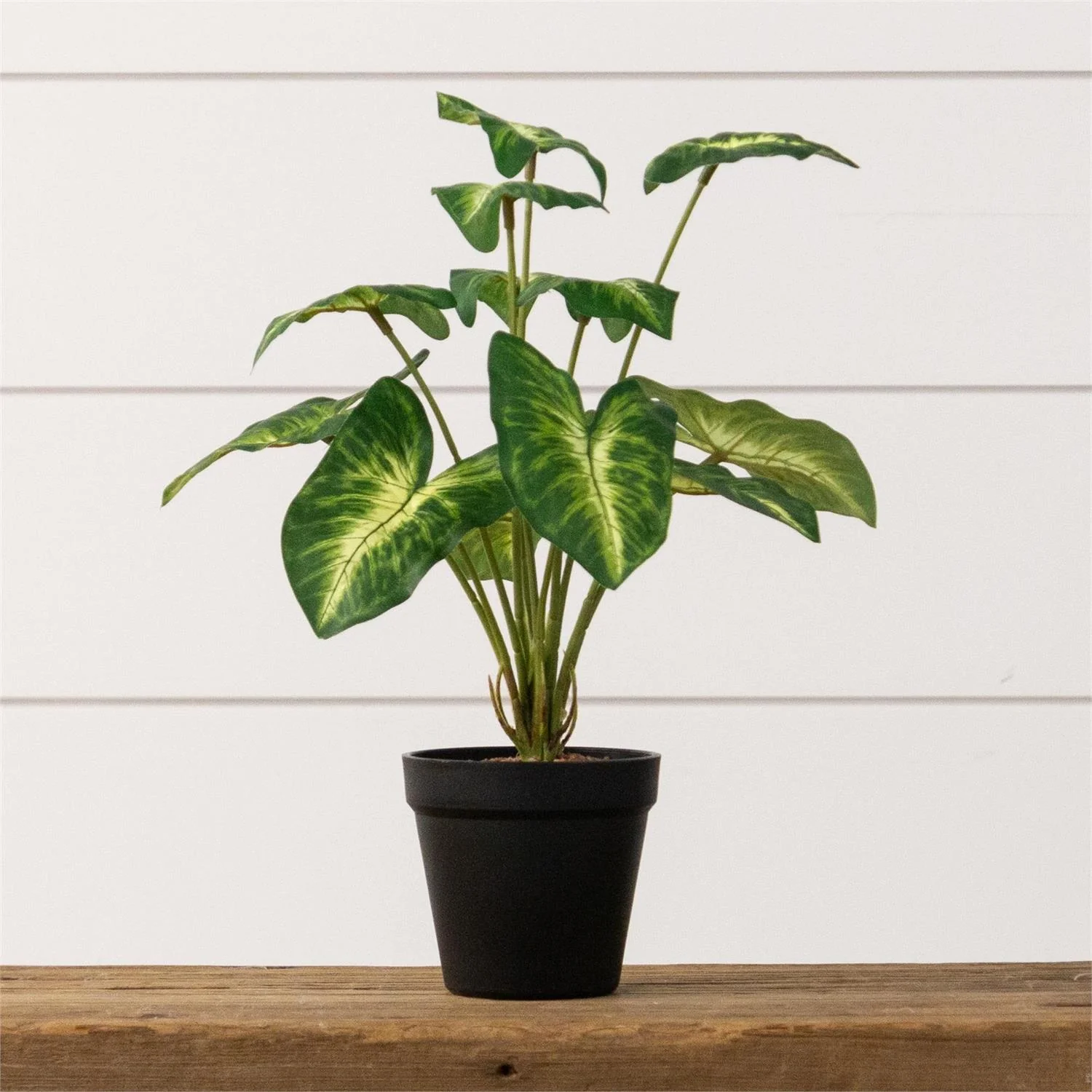 Syngonium Houseplant Potted 14" Faux Foliage Plant
