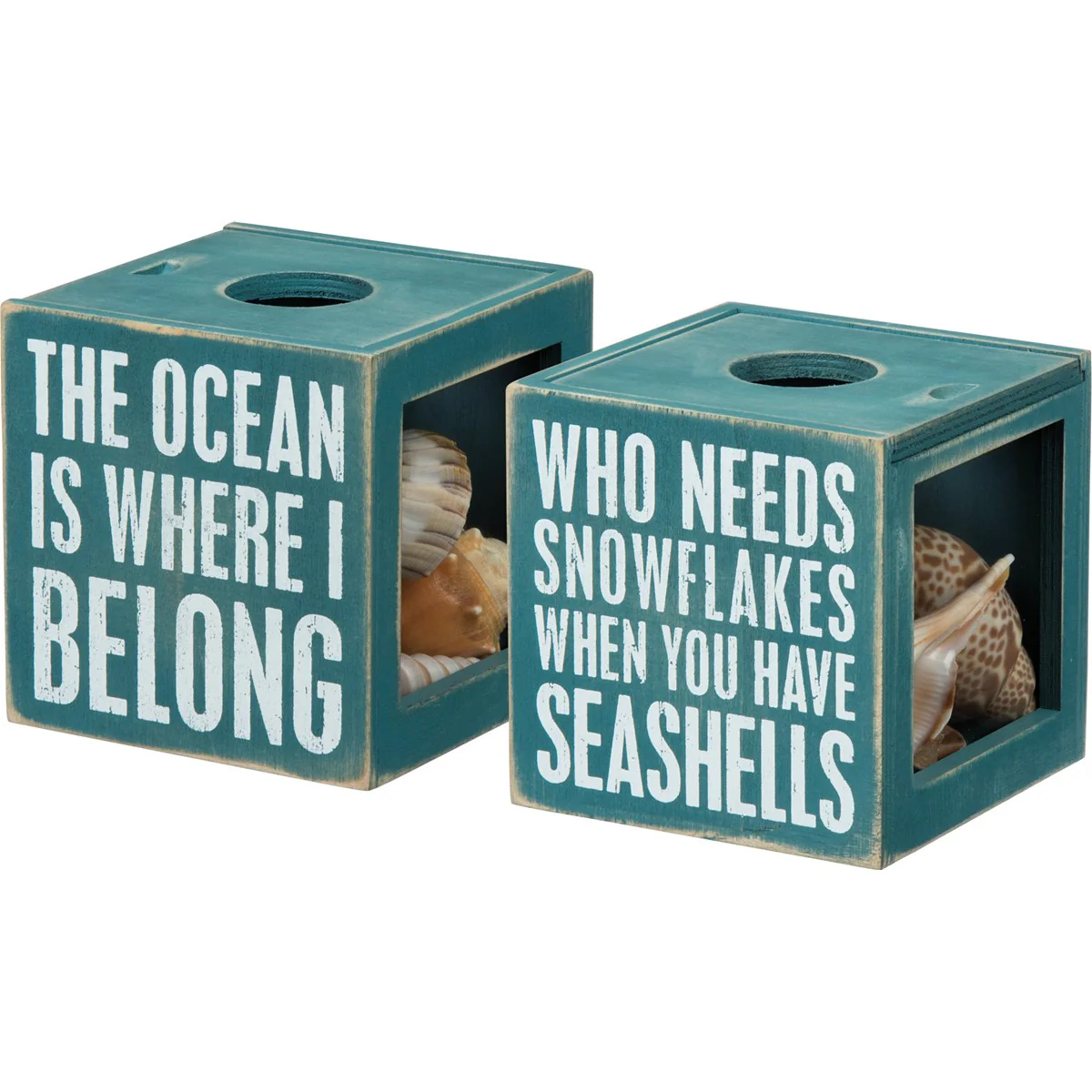 DAY 13 โ๏ธ 14 SUNNY BEACH DAYS ๐ The Ocean Is Where I Belong Shell Holder - Image 2