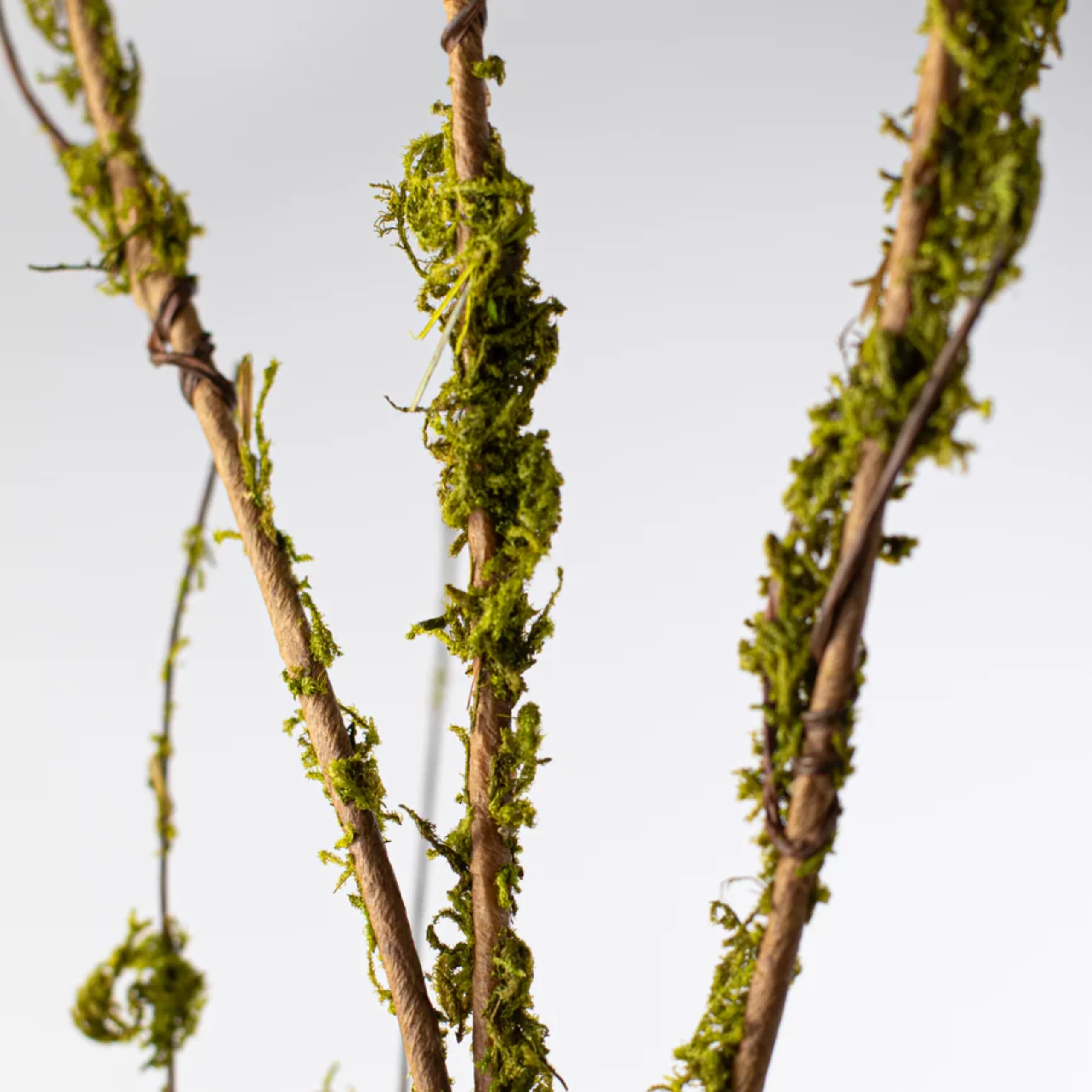 Twig Branch with Moss 31" Decorative Stem - Image 3