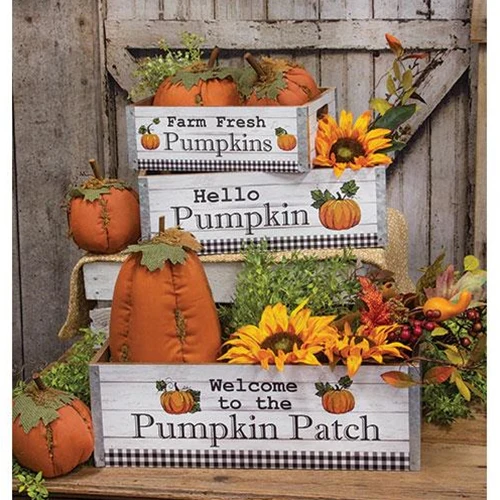 Welcome to the Pumpkin Patch Crates Set of 3 - Image 2