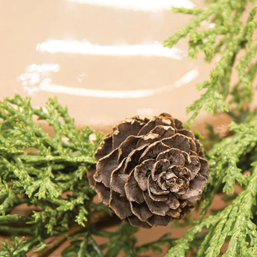 Western Cedar & Pinecone 10" Faux Evergreen Ring - Image 2