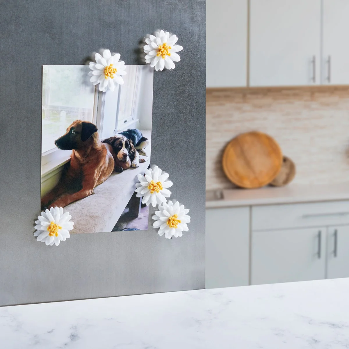 White Daisy Felt Magnets Set of 5 - Image 2
