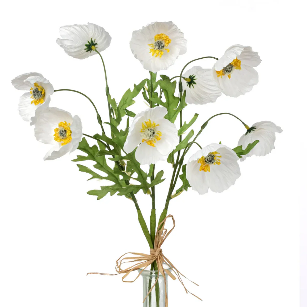 💙 White Wrinkle Poppy Stem 16" H Bundle