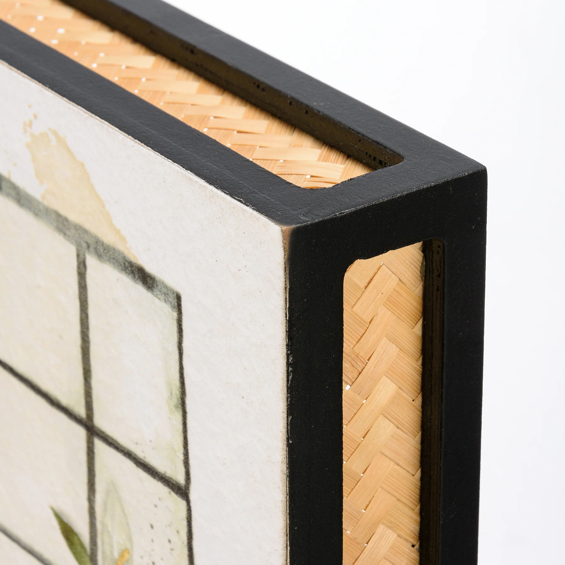 Window House Plants 12" Box Sign - Image 2