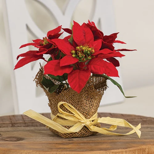 Winter Party Mini Faux Poinsettia in Burlap Pot 7"H
