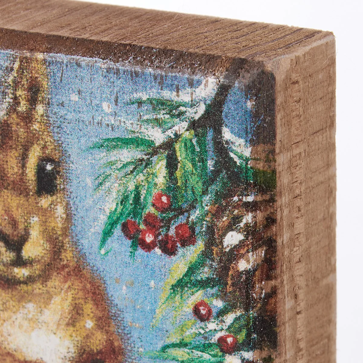 💙 Woodland Squirrel 4" Small Wooden Block Sign - Image 4