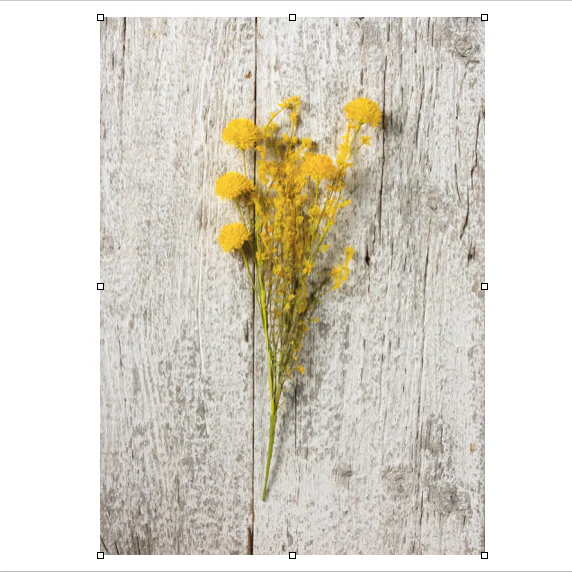 ๐ Yellow Thistle Mix 20" Faux Floral Stem - Image 2