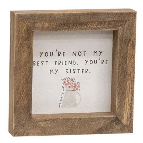 ๐ You're Not My Best Friend You're My Sister Mini Framed Sign